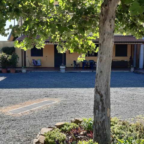 Esterno 14