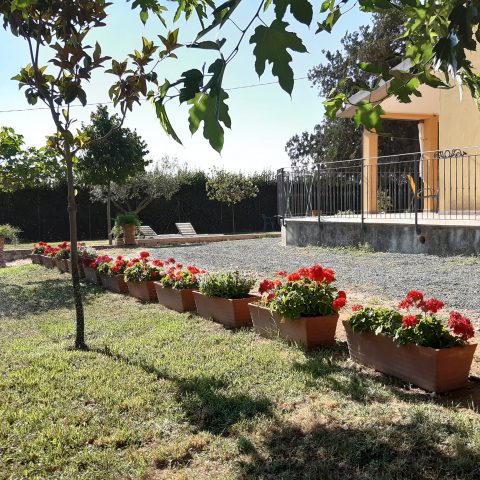 Esterno 15