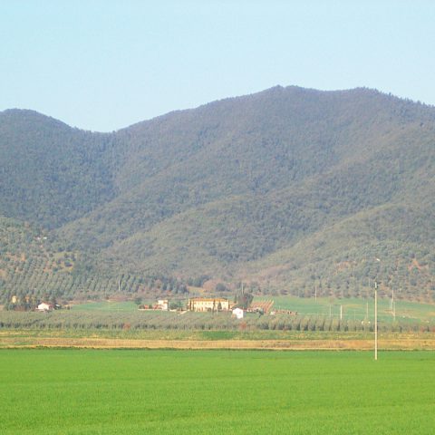 Esterno 7