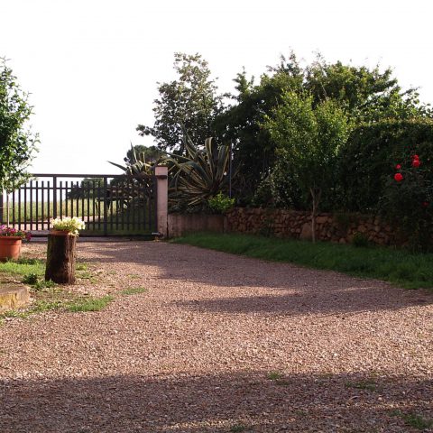 Esterno 6